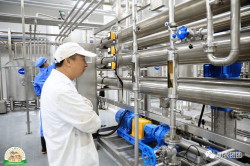 助農(nóng)團團丨刺梨產(chǎn)業(yè)巡禮① 刺梨原榨果汁,天然原味,你敢來喝嗎